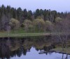 Nature Image
