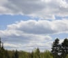 Nature Image