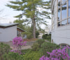 Nature Image