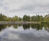 Nature Image
