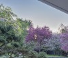 Nature Image