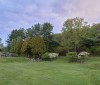 Nature Image