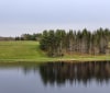 Nature Image