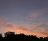 Nature Image