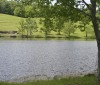 Nature Image