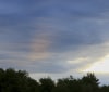 Nature Image