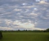 Nature Image