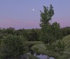Nature Image