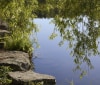 Nature Image