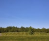 Nature Image