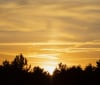 Nature Image
