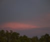 Nature Image
