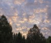 Nature Image
