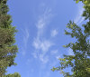 Nature Image