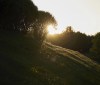 Nature Image
