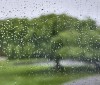 Nature Image