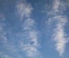 Nature Image