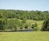Nature Image