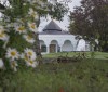 Nature Image