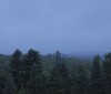Nature Image