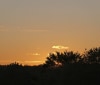 Nature Image