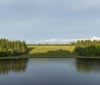 Nature Image