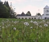 Nature Image