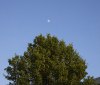 Nature Image