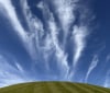 Nature Image