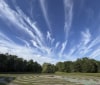 Nature Image