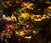 Nature Image