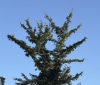 Nature Image