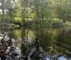 Nature Image
