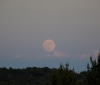 Nature Image