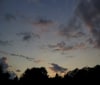Nature Image