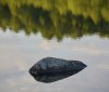 Nature Image