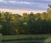 Nature Image