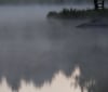 Nature Image