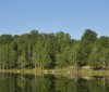 Nature Image