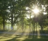 Nature Image