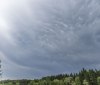 Nature Image