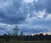 Nature Image