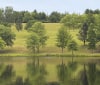 Nature Image