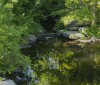 Nature Image