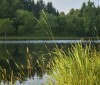 Nature Image