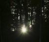 Nature Image
