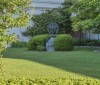 Nature Image