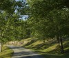 Nature Image