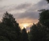Nature Image