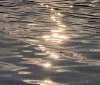 Nature Image